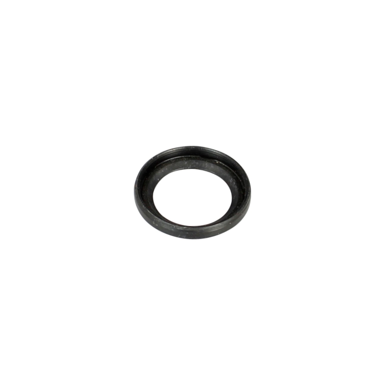Paraolio per Campy, Tipo A, 24.1x16x3.5, per F262SB, 270034, 2011 fuori produzione